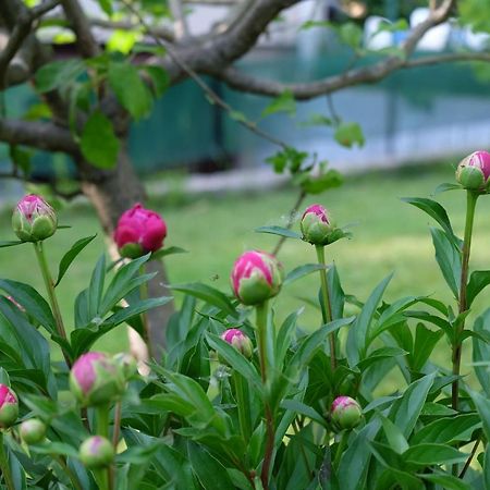 Aria Di Casa B&B Cantu Ngoại thất bức ảnh