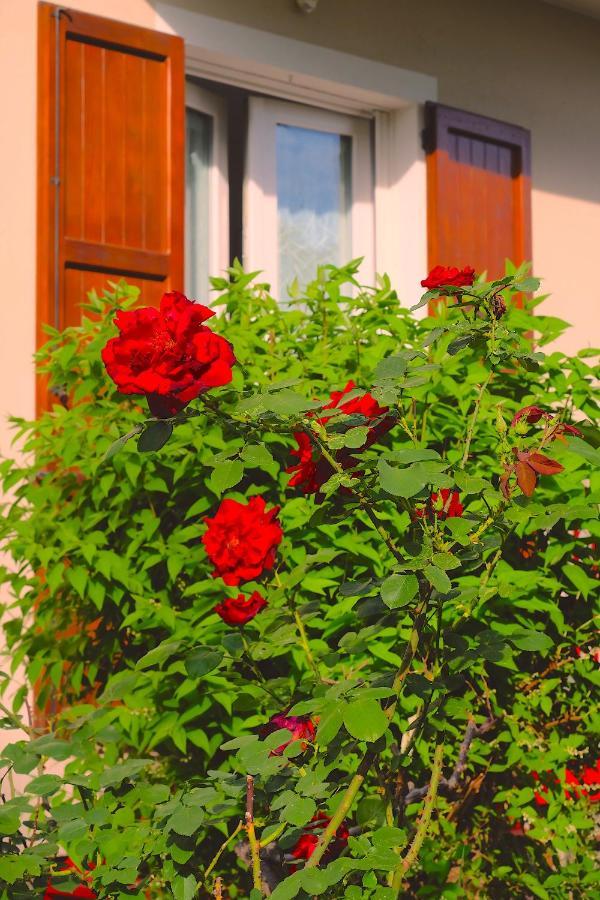 Aria Di Casa B&B Cantu Ngoại thất bức ảnh